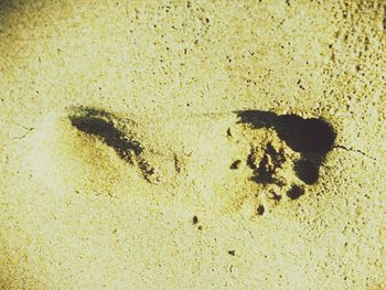 Full frame shot of white wall