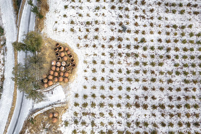 High angle view of christmas decorations