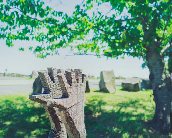 Close-up of cross on tree