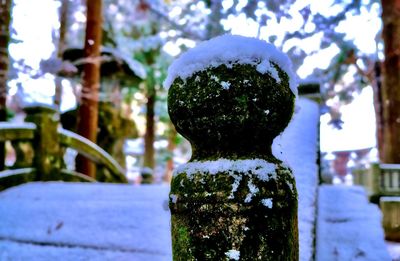 Close-up of statue against snow