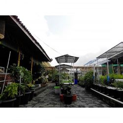 Built structure with plants in foreground