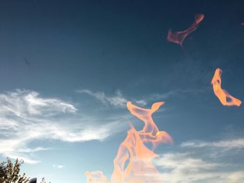 Low angle view of fish swimming in the sky