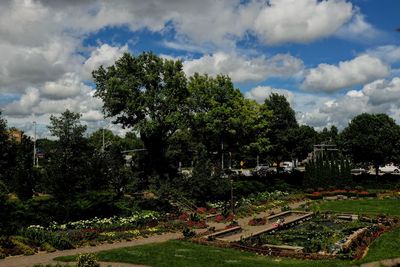 Trees on landscape against sky in city