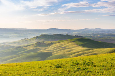 Scenic view of agricultural field against sky