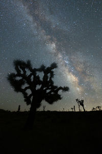 Milky way over joshua tree national park