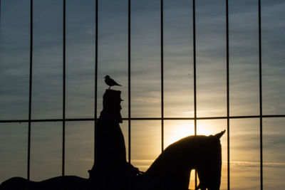 Bird perching on wall