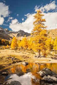 Scenic view of lake against sky during autumn