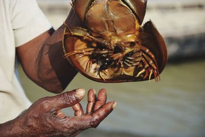 Close-up of man holding ice cream