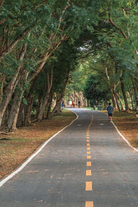 Rear view of people walking on road amidst trees