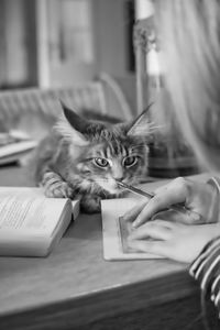 Cropped hands of woman on book by cat on table at home