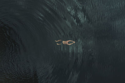 A man is seen swimming under the surface of the water of a deep clean lake. top view. 