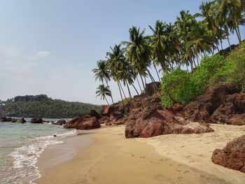 Scenic view of palm trees on beach against sky