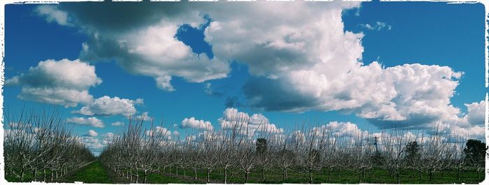 Panoramic view of sky