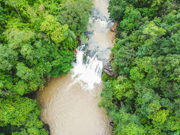 Scenic view of waterfall in forest