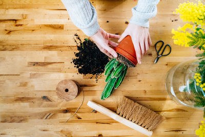 High angle view of woman preparing food on cutting board