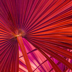 Full frame shot of multi colored umbrella