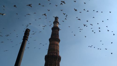 Low angle view of birds flying over column