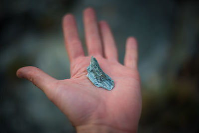 Close-up of hand holding leaf