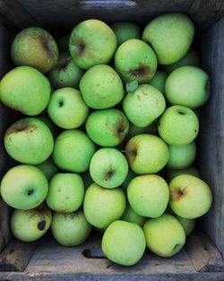 Directly above shot of green apples in crate