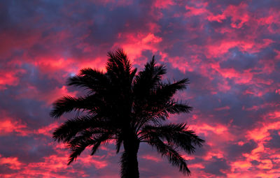 Low angle view of silhouette palm tree against romantic sky
