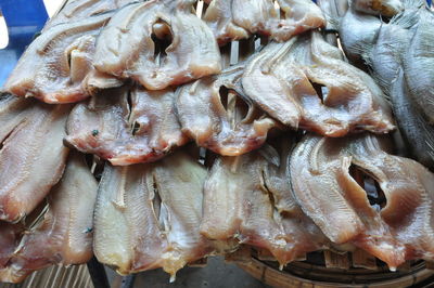 Close-up of fish for sale in market