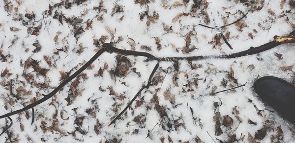 High angle view of snow on field