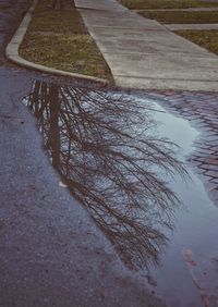 High angle view of puddle on road
