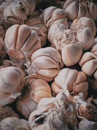 Full frame shot of garlic