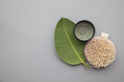 High angle view of food on white background