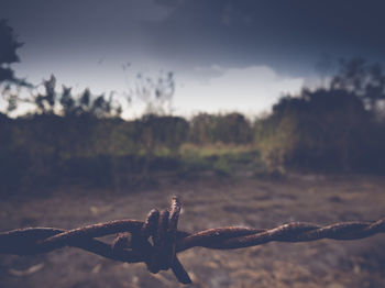 Close-up of rusty barbed wire fence on field against sky