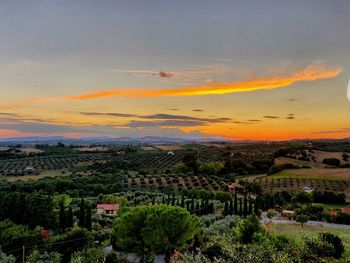 High angle view of trees and buildings against sky during sunset