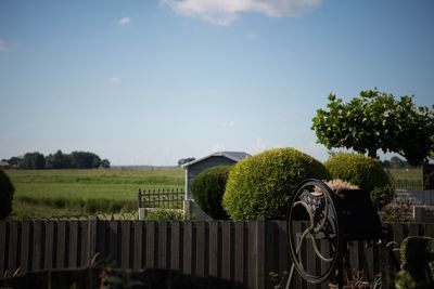 Plants growing on field against sky