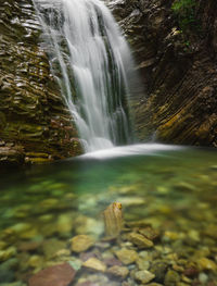 Scenic view of waterfall in forest