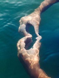 Low section of people in swimming pool