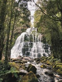 View of waterfall in forest