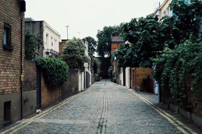 Narrow walkway along trees