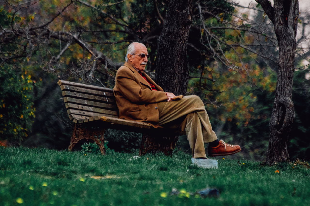 sitting, seat, bench, full length, one person, tree, plant, real people, men, males, adult, lifestyles, leisure activity, nature, senior adult, day, land, relaxation, outdoors, mature men, park bench, contemplation, warm clothing