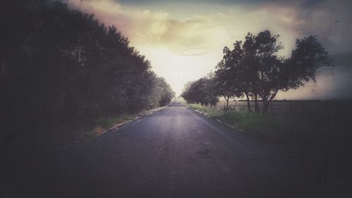 Road amidst trees against sky