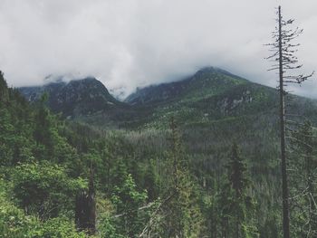 Scenic view of mountains against cloudy sky