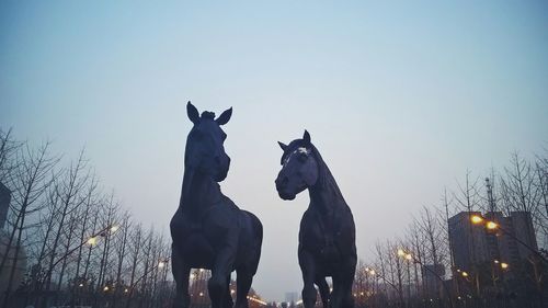 View of tree against clear sky