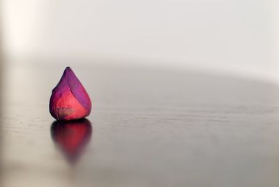 Dried rose bud 