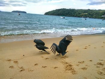 Scenic view of beach against sky