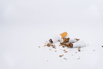Close-up of cigarette against white background