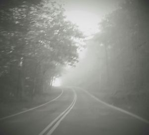 Road passing through trees