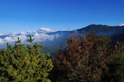 Scenic view of mountains against blue sky