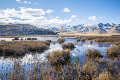 Scenic view of lake against sky during winter