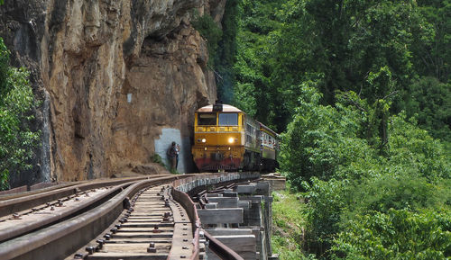 Railroad tracks amidst trees in forest