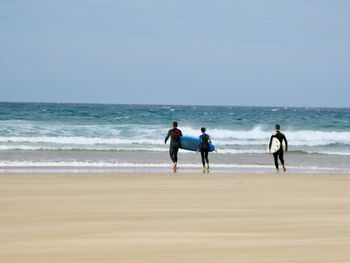 Rear view of surfers walking on shore at beach