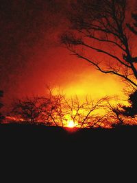 Low angle view of silhouette trees against sky during sunset