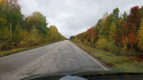 Road amidst trees seen through car windshield